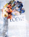 ' LOEWE BUNCH ' - BY AMANDA JOHNSTONE