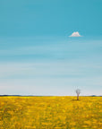 ' STANDING ALONE IN THE FIELDS OF GOLD ' - BY TANIA CHANTER